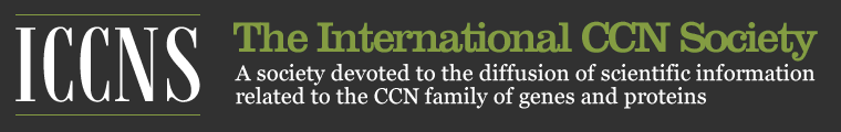The International CCN Society